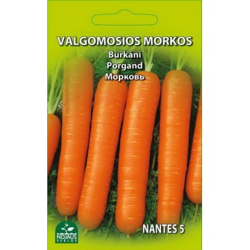VALGOMOSIOS MORKOS NANTES 5