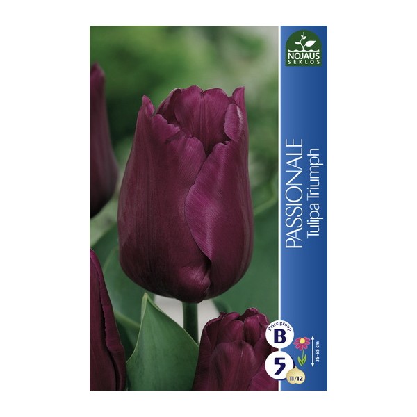 Tulp PASSIONALE