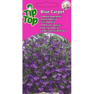Sinilobeelia Blue Carpet
