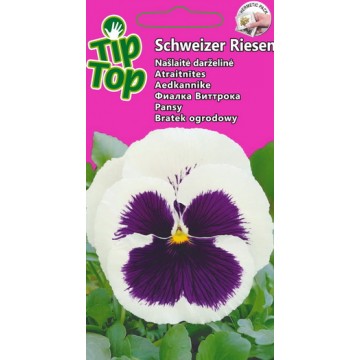 Aedkannike Schweizer Riesen