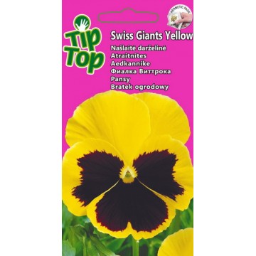 Aedkannike Swiss Giants Yellow