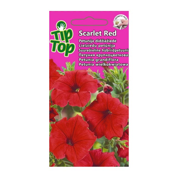 Suureõieline hübriidpetuunia Scarlet Red