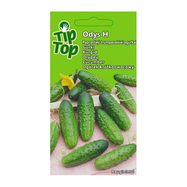 Kurgid Odys H