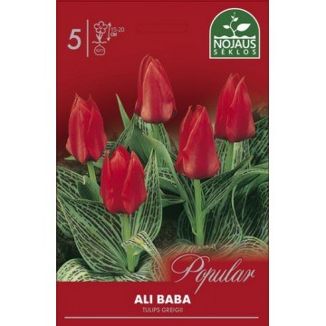 POPULAR tulbid Ali Baba