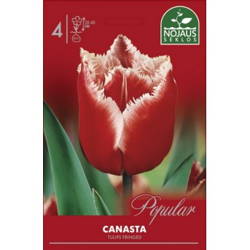 Tulpes CANASTA
