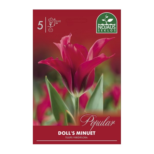 Tulp DOLL`S MINUET