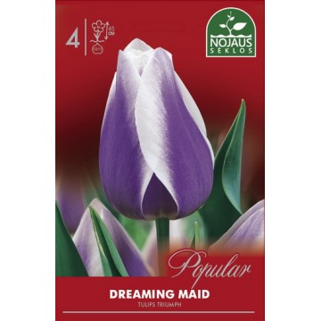 POPULAR TULPĖS DREAMING MAID