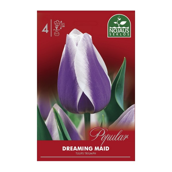Tulp DREAMING MAID