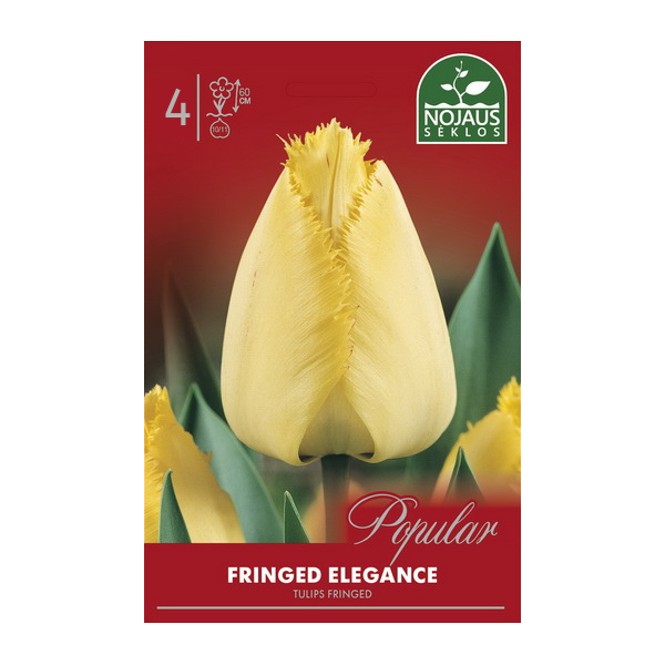 Tulp FRINGED ELEGANCE