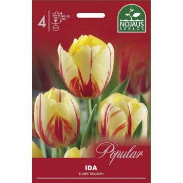 Тюльпаны IDA