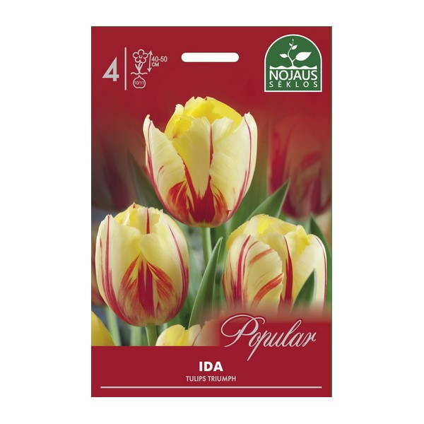 Tulp IDA