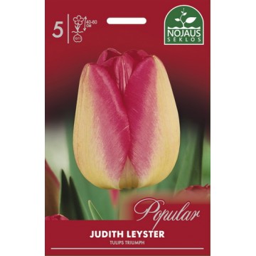 Тюльпаны JUDITH LEYSTER