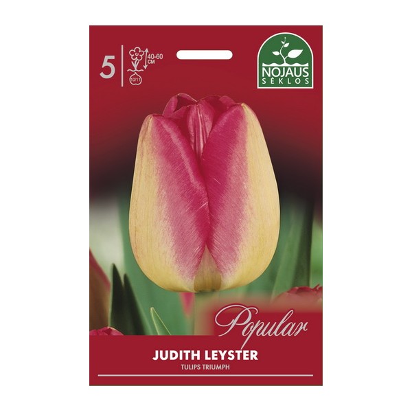 Tulpes JUDITH LEYSTER