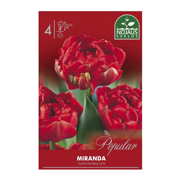 Tulp MIRANDA