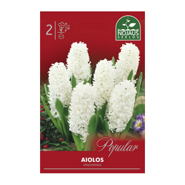 Hyacinthus AIOLOS