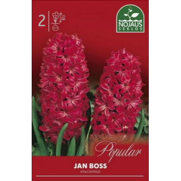 Hüatsindid Jan Bos
