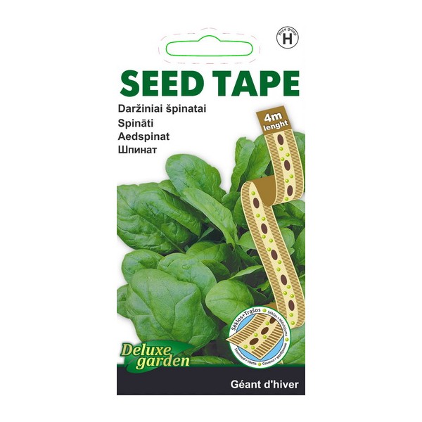 Aedspinat Géant d'hiver seed tape