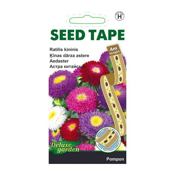 Aedaster Pompon seed tape