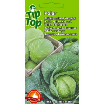 Valge peakapsas Polar