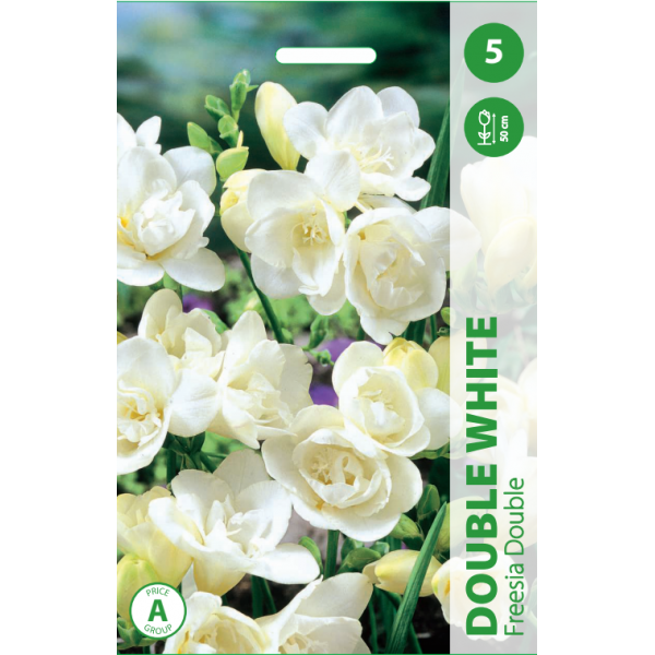 Freesia täidisõieline DOUBLE WHITE