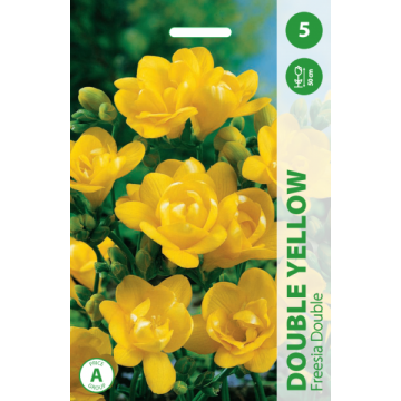 Фрезии махровые double Yellow