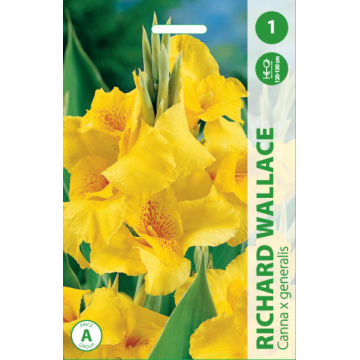 Canna Richard wallace