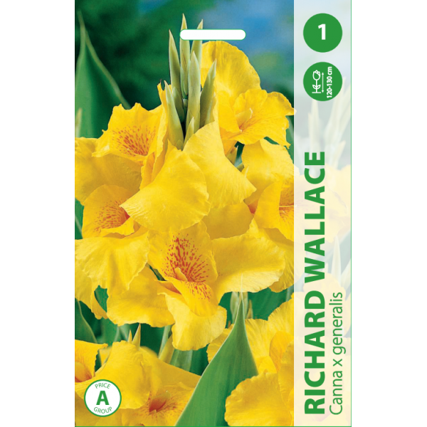 Kanna Richard wallace