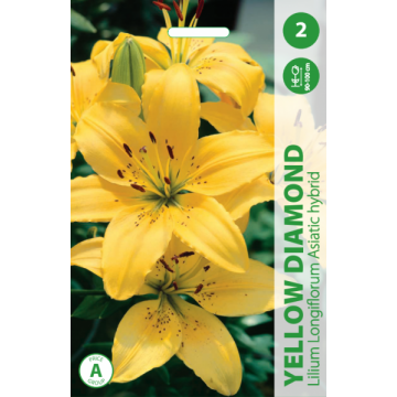 LELIJOS YELLOW DIAMOND