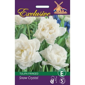 Tulbid Exclusive Snow Crystal