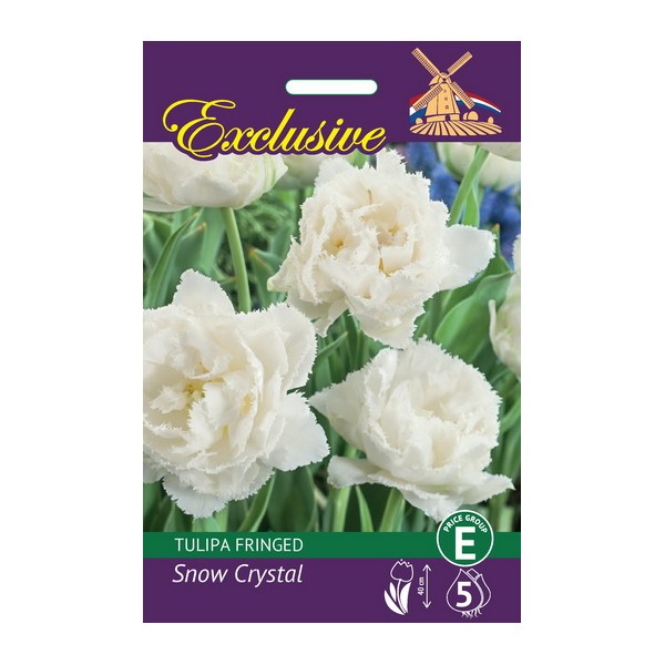 Tulbid Exclusive Snow Crystal