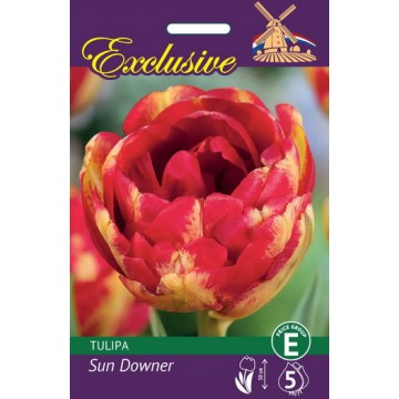 TULP EXCLUSIVE SUN DOWNER