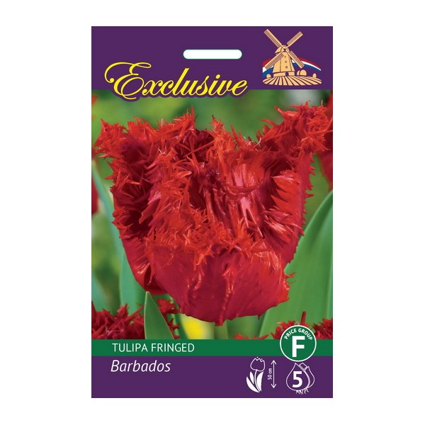 Tulbisibulad Exclusive Barbados