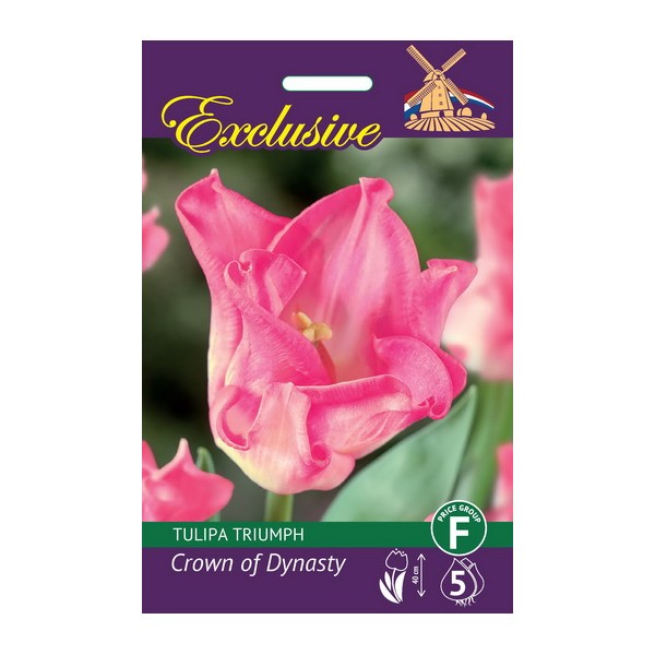 TULP EXCLUSIVE CROWN OF DYNASTY