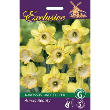 Nartsissid Exclusive Alexis...