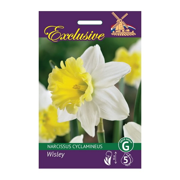 Nartsissisibulad Exclusive Wisley