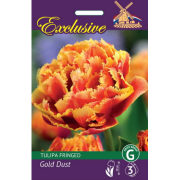 TULP EXCLUSIVE GOLD DUST