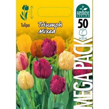 TULP MEGA PACK MIX TRIUMPH...