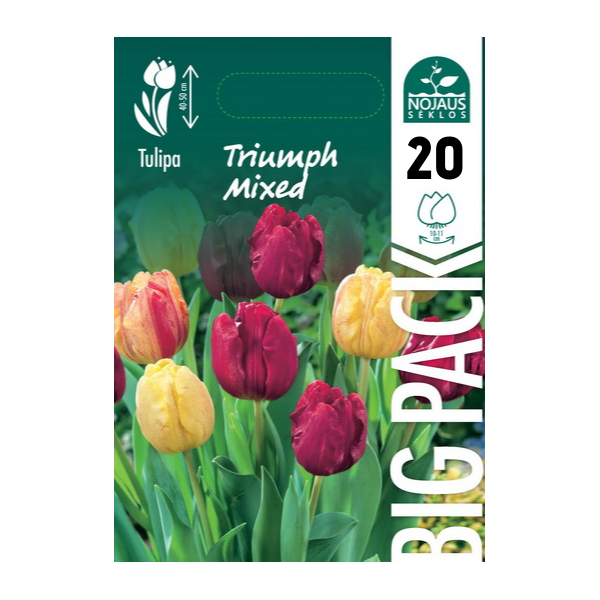 TULP BIG PACK MIX TRIUMPH 20 tk.