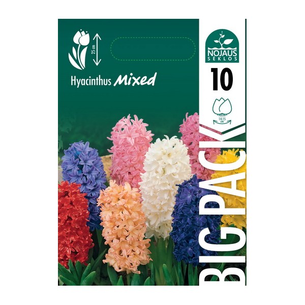 Hüatsint BIG PACK MIX 10 tk.
