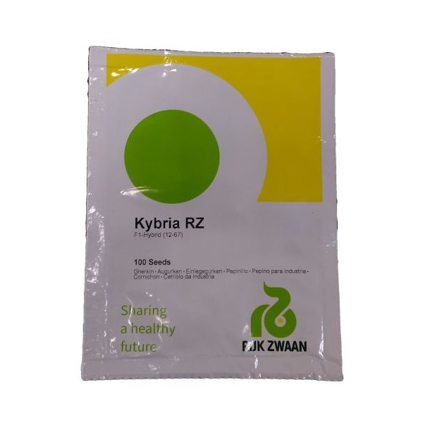 Lühiviljaline kurk Kybria RZ 100s.