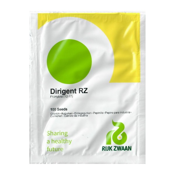 Lühiviljaline kurk Dirigent H 100s.
