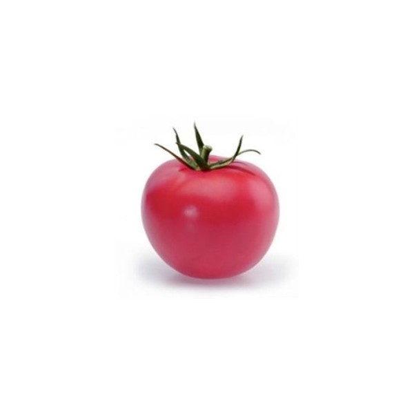 Tomat ESMIRA H 100 seemet
