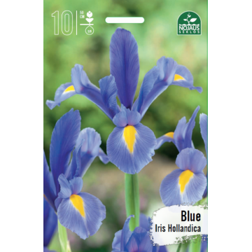 IIRIS BLUE