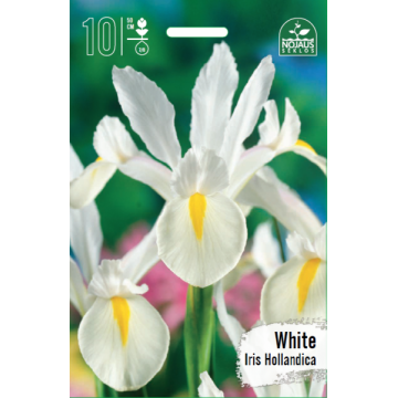 IIRIS WHITE BEST SELLER