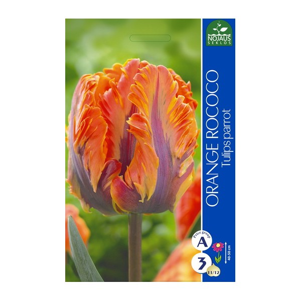 TULP ORANGE ROCOCO