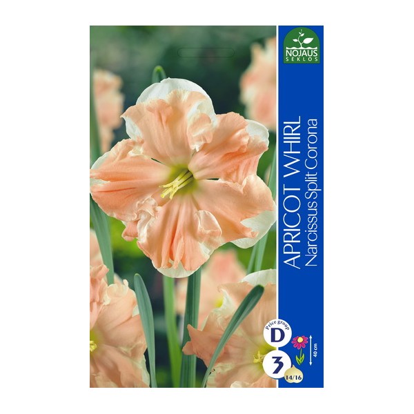 NARTSISSID APRICOT WHIRL