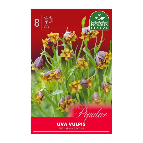 Fritillaria UVA VULPIS