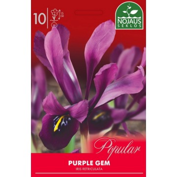 Iiris Purple Gem