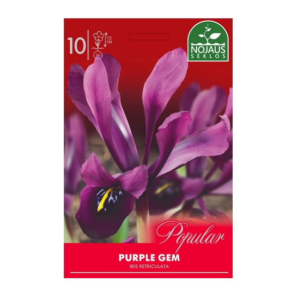 Iiris Purple Gem