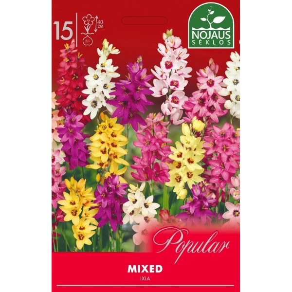 POPULAR IXIA MIX